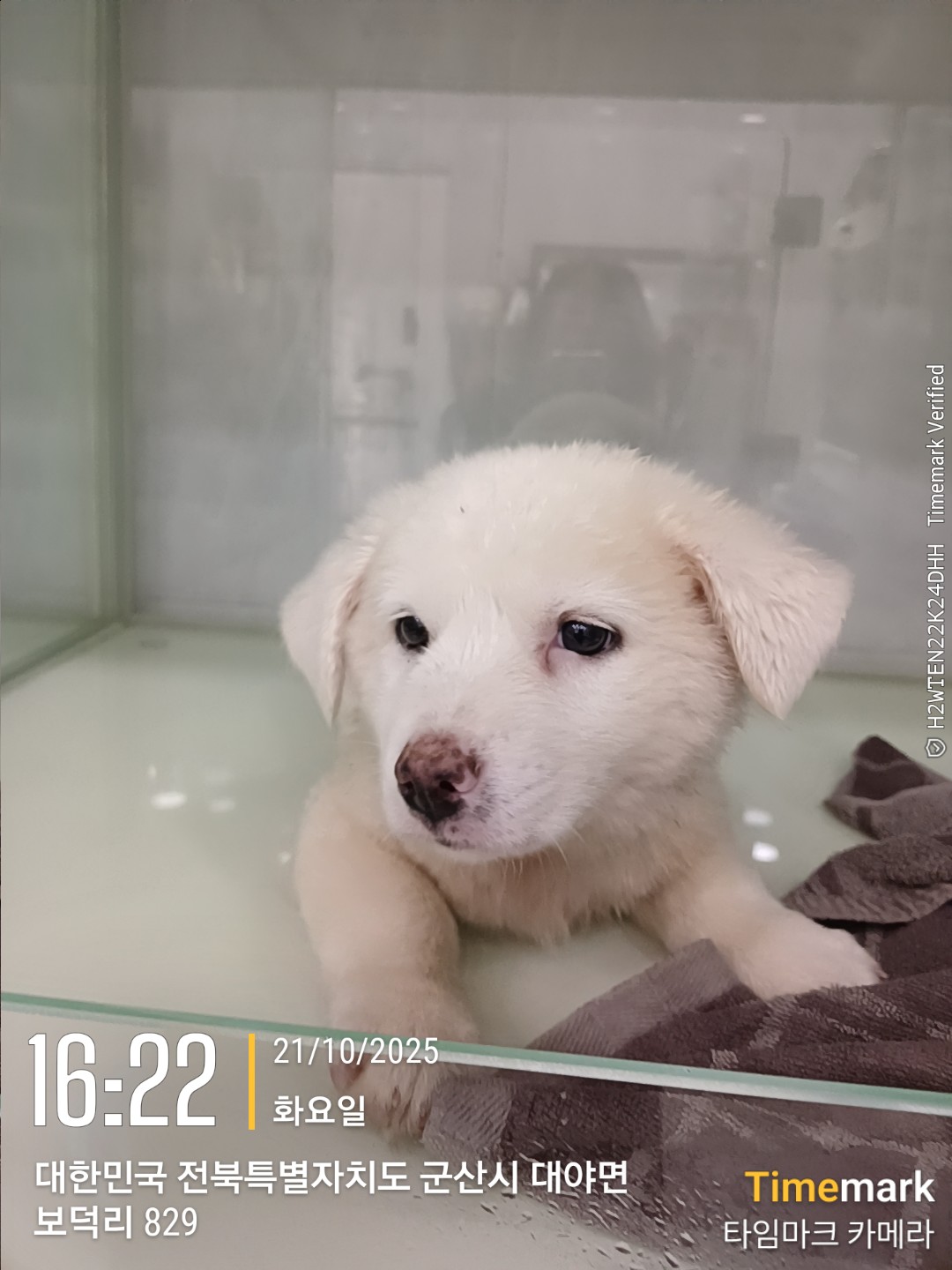 종료(자연사) 믹스…