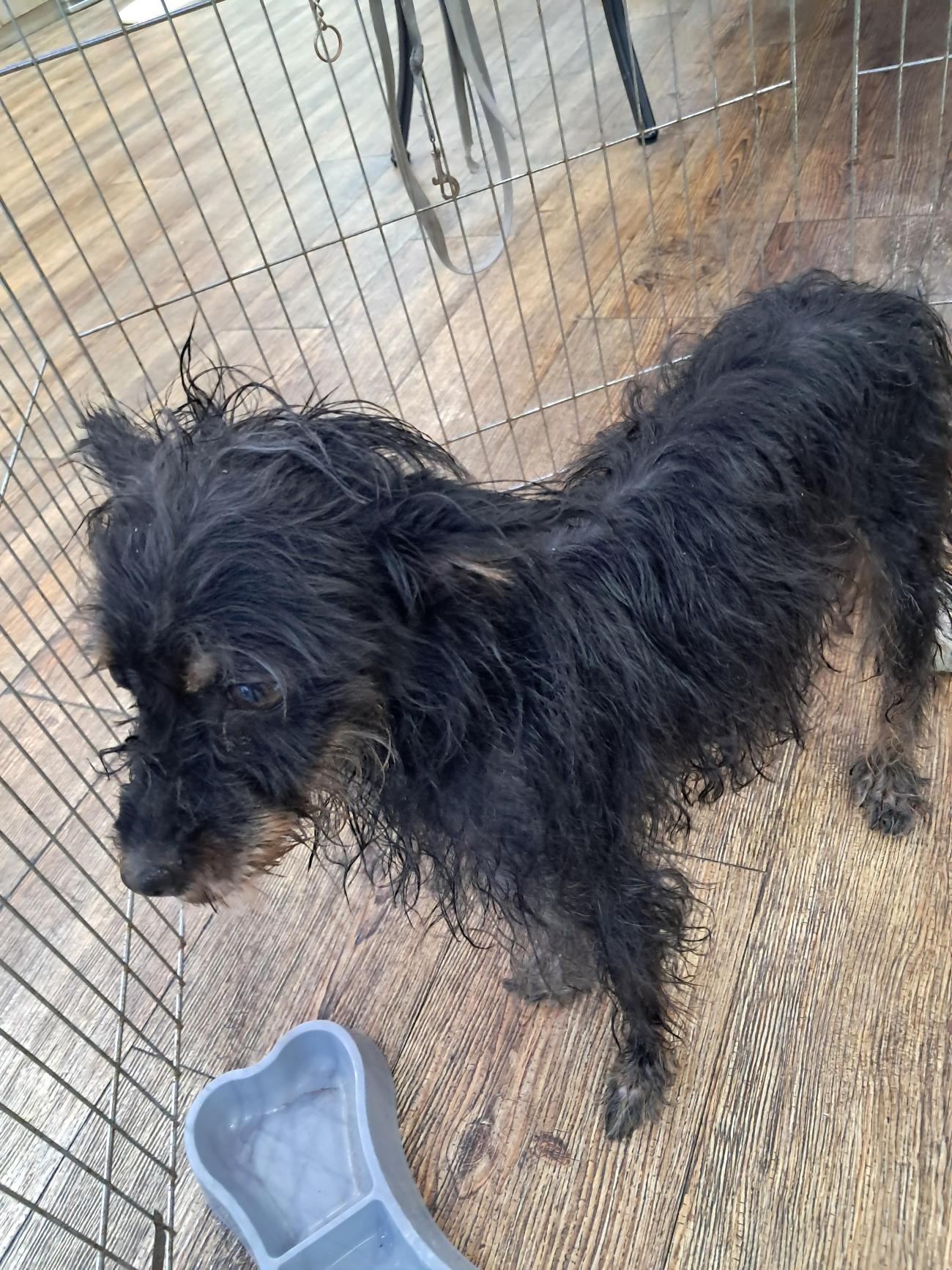 종료(자연사) 믹스…