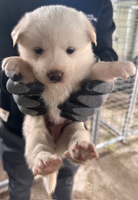 광양시 임시보호소_446484202500760