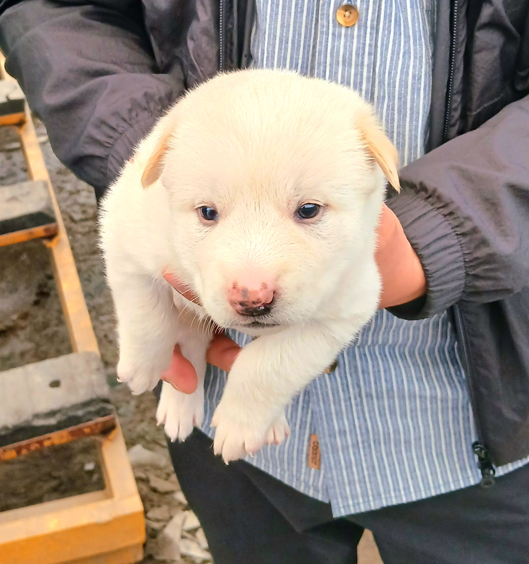 금왕동물병원_443447202501104