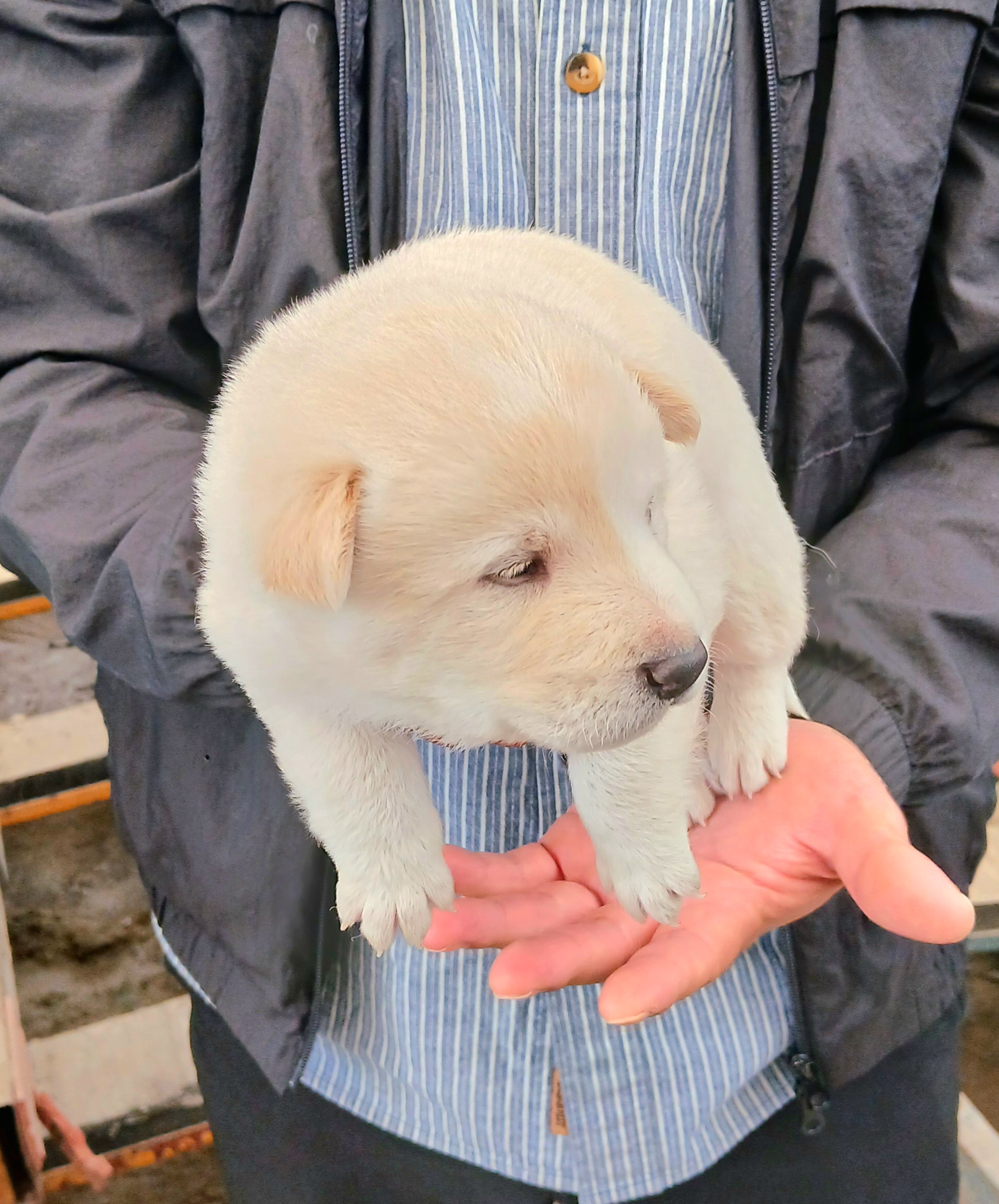 금왕동물병원_443447202501100