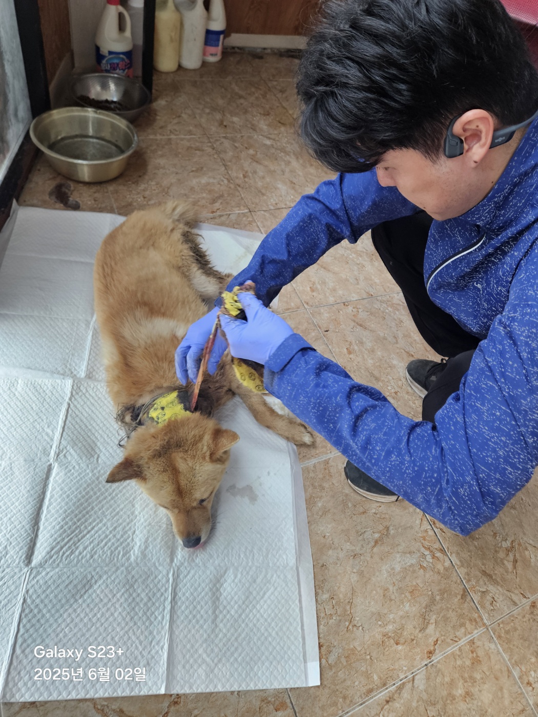 성주유기동물보호센터_447521202500476