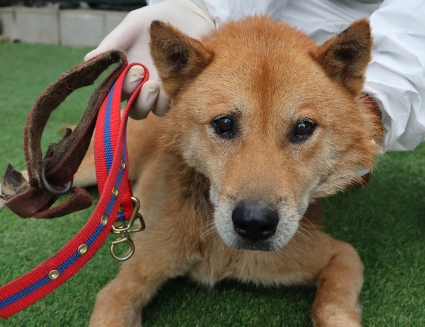 제주 동물보호센터_450650202502811