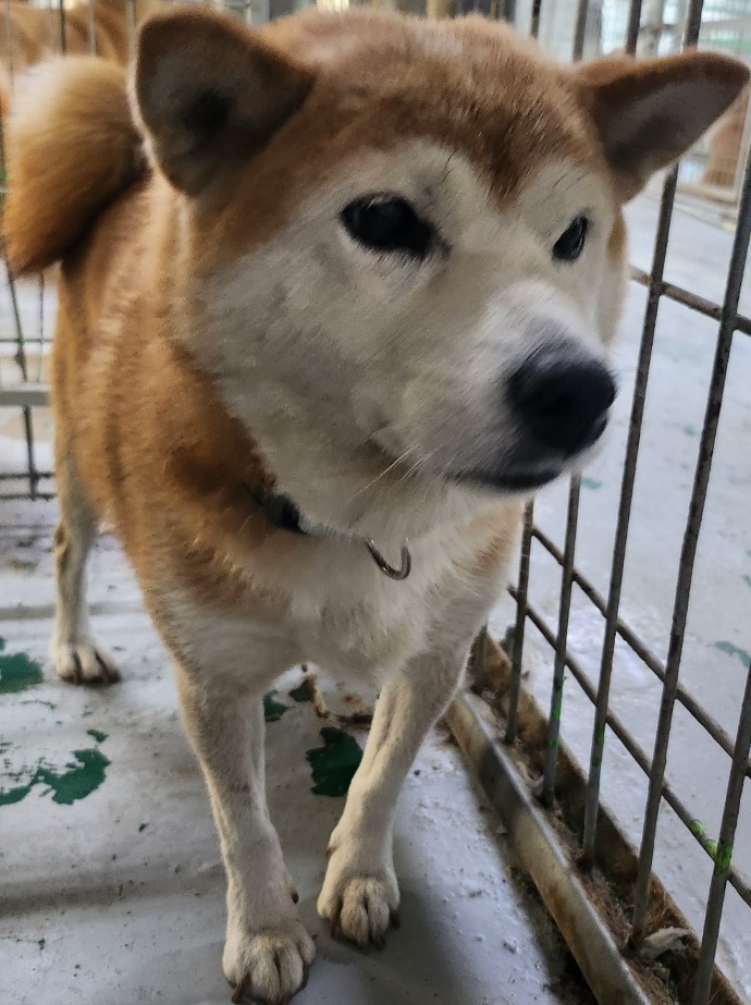 인천광역시수의사회_428351202500562