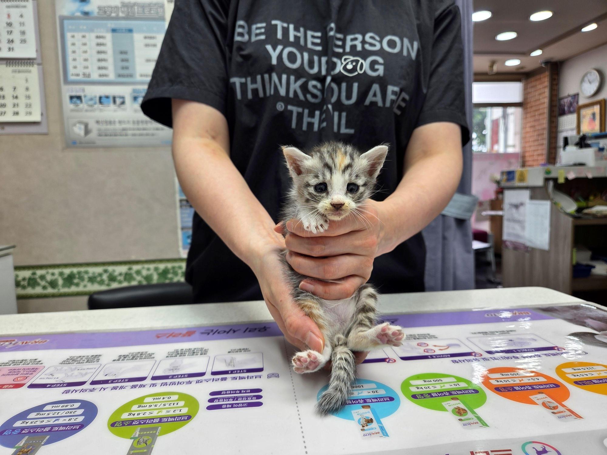 종료(자연사) 한국…