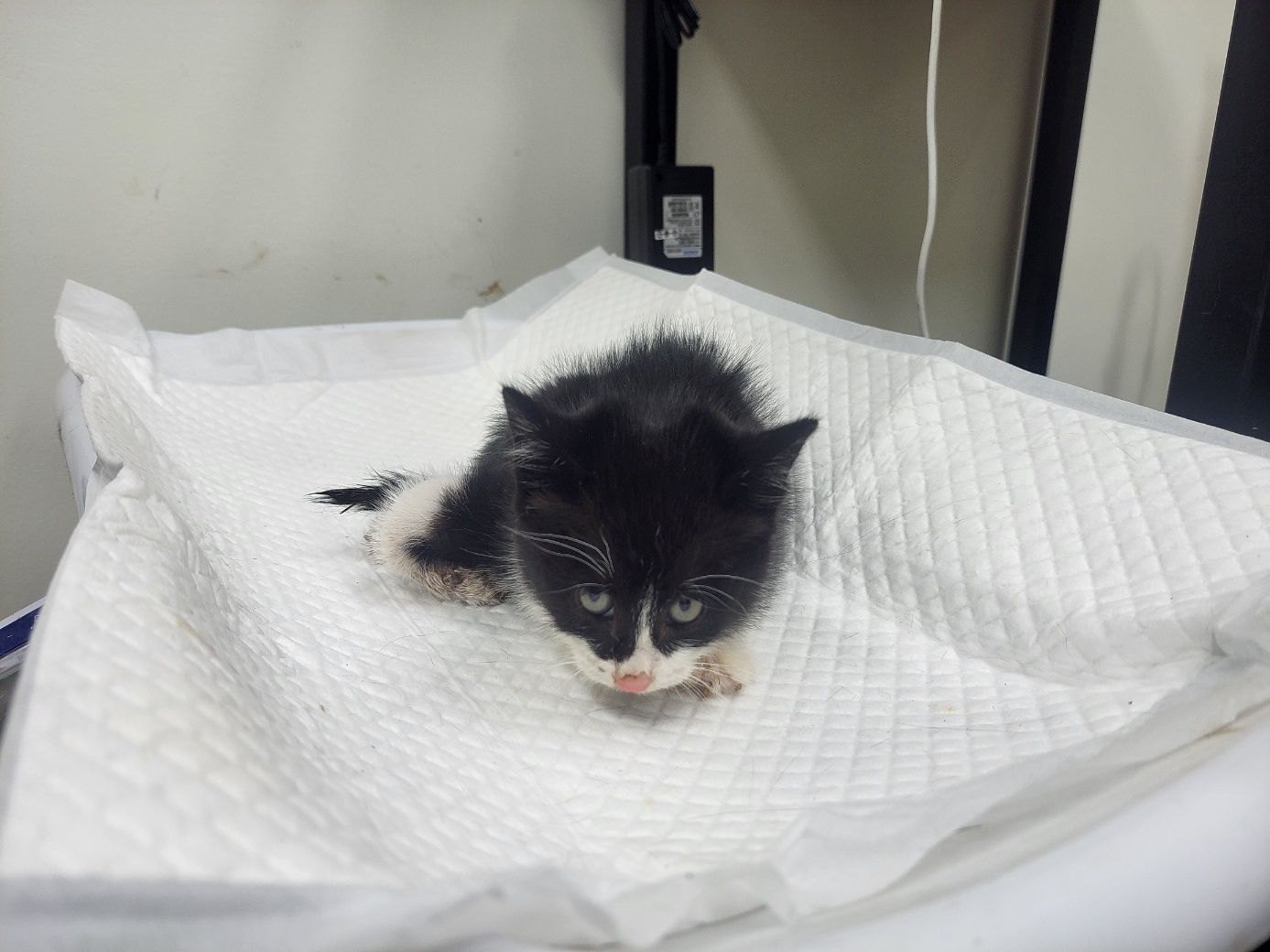 종료(기증) 한국 …