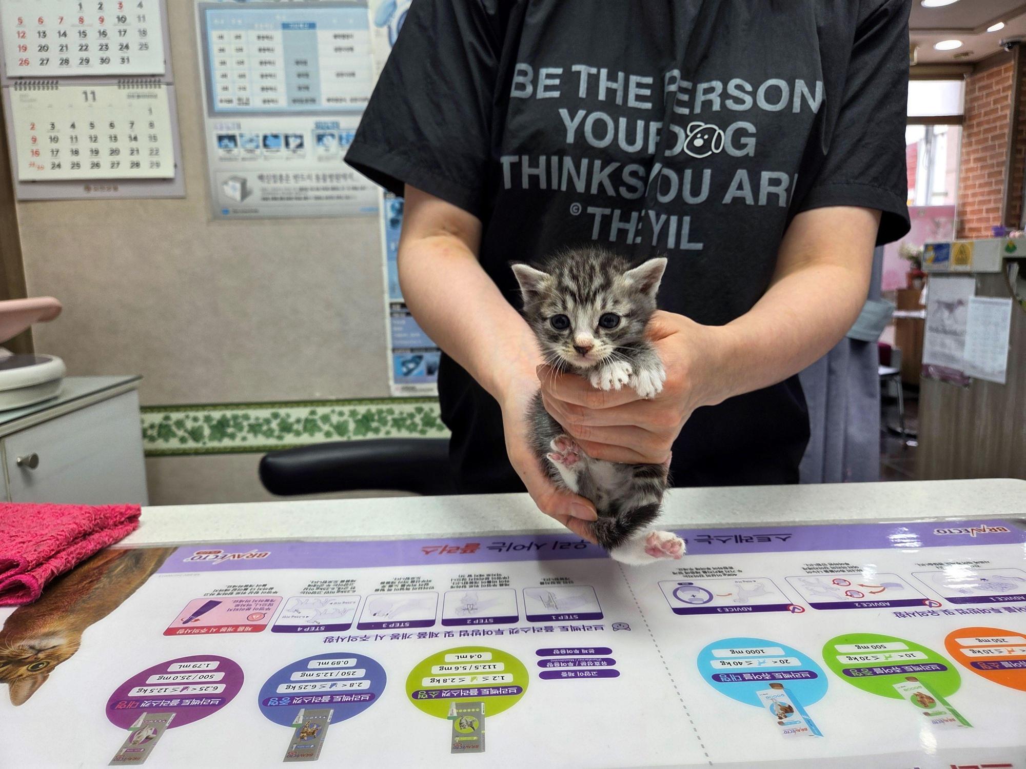 종료(자연사) 한국…