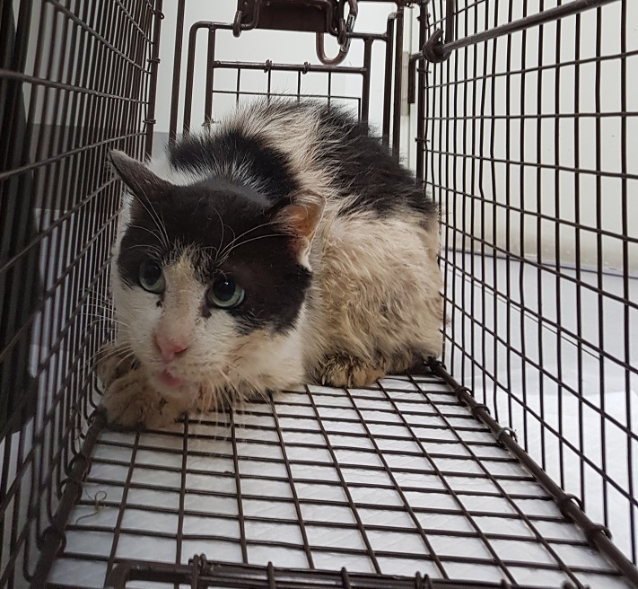 종료(방사) 한국 …