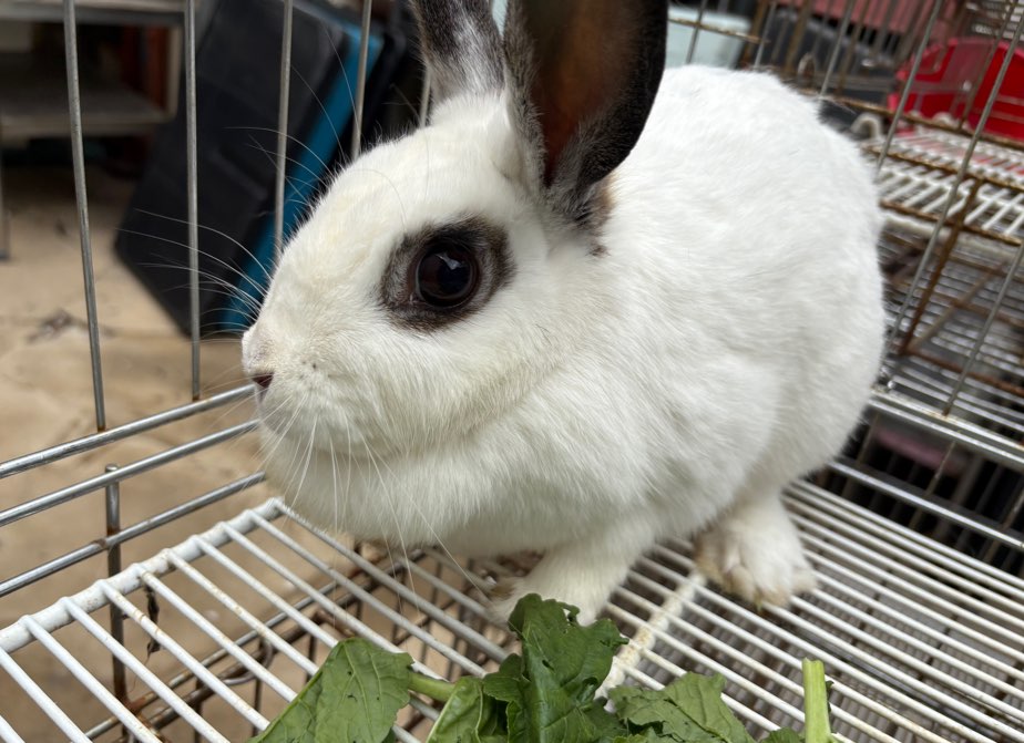 종료(자연사) 기타…