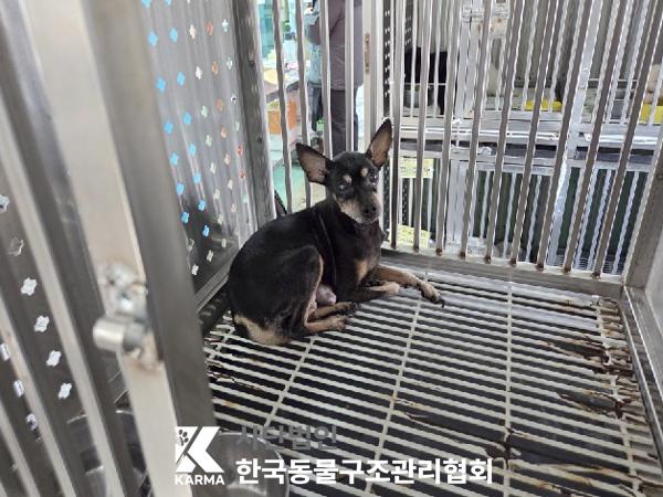 종료(반환) 미니어…