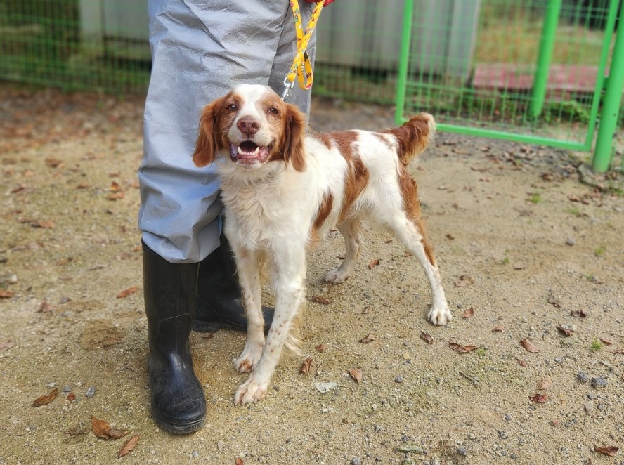 종료(반환) 브리타…