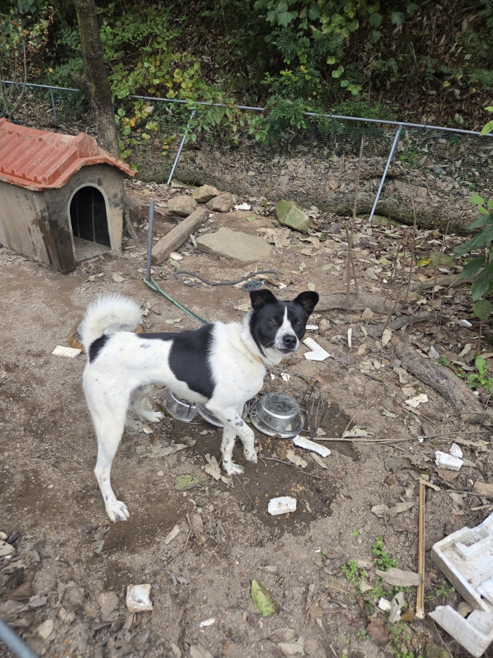 최종주동물병원_443444202500456