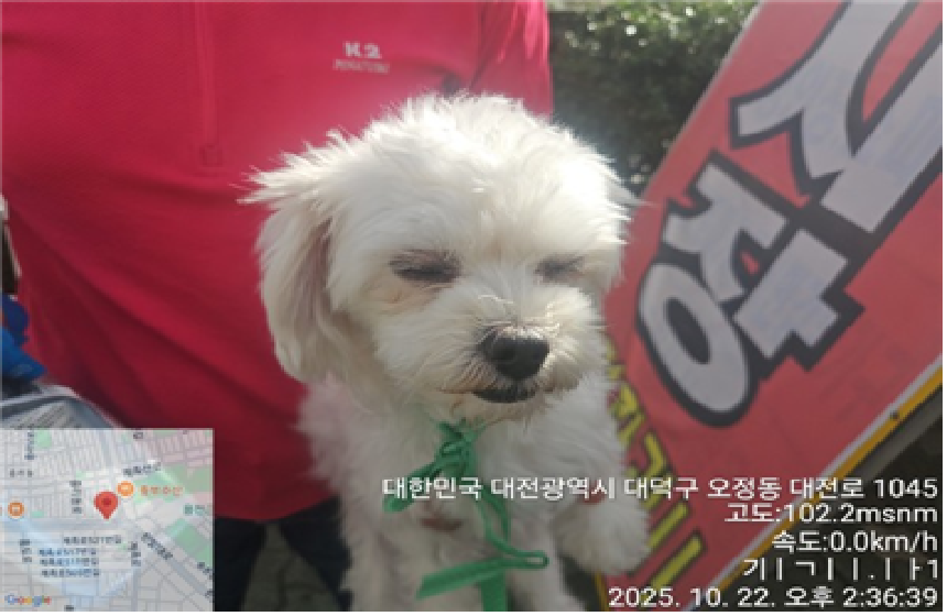 대전동물보호센터_430368202500410