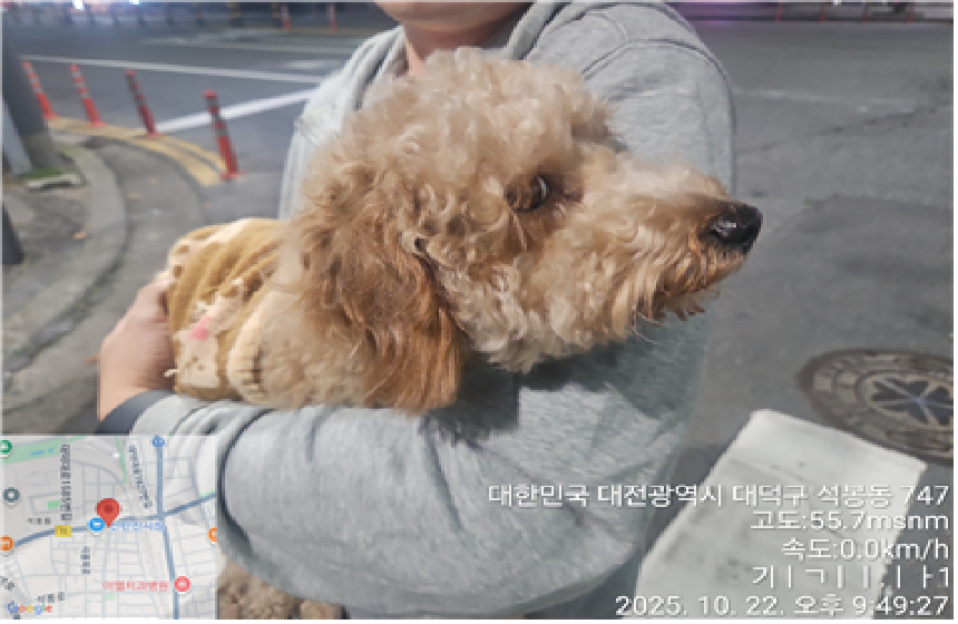 대전동물보호센터_430368202500411