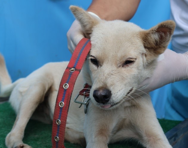 제주 동물보호센터_450650202502827