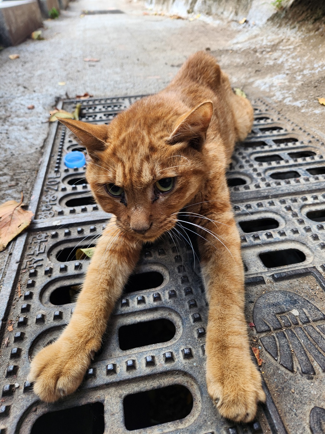 동구종합동물병원_426327202500195