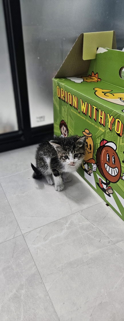 익산유기동물보호소_445468202502943