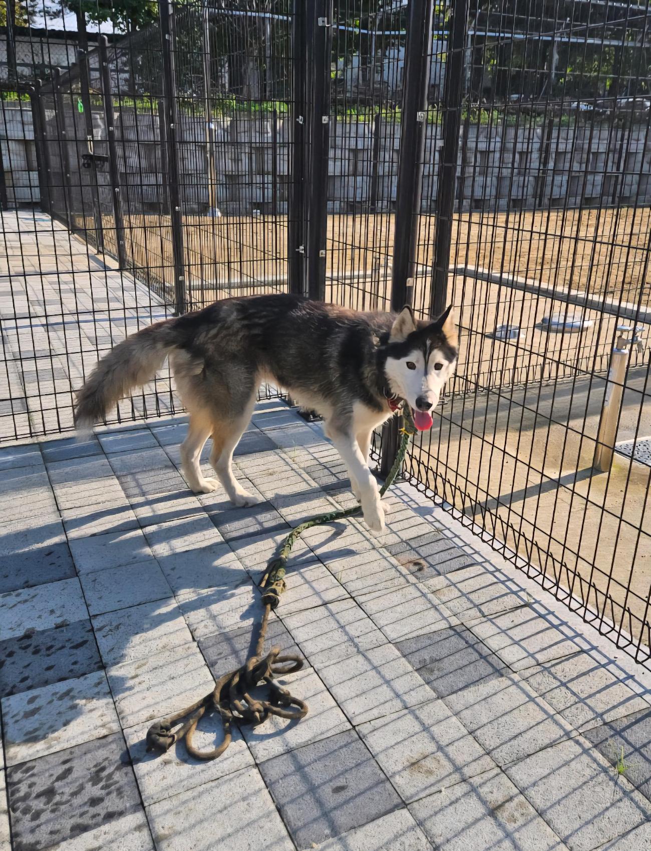 아산동물복지지원센터_444452202502097