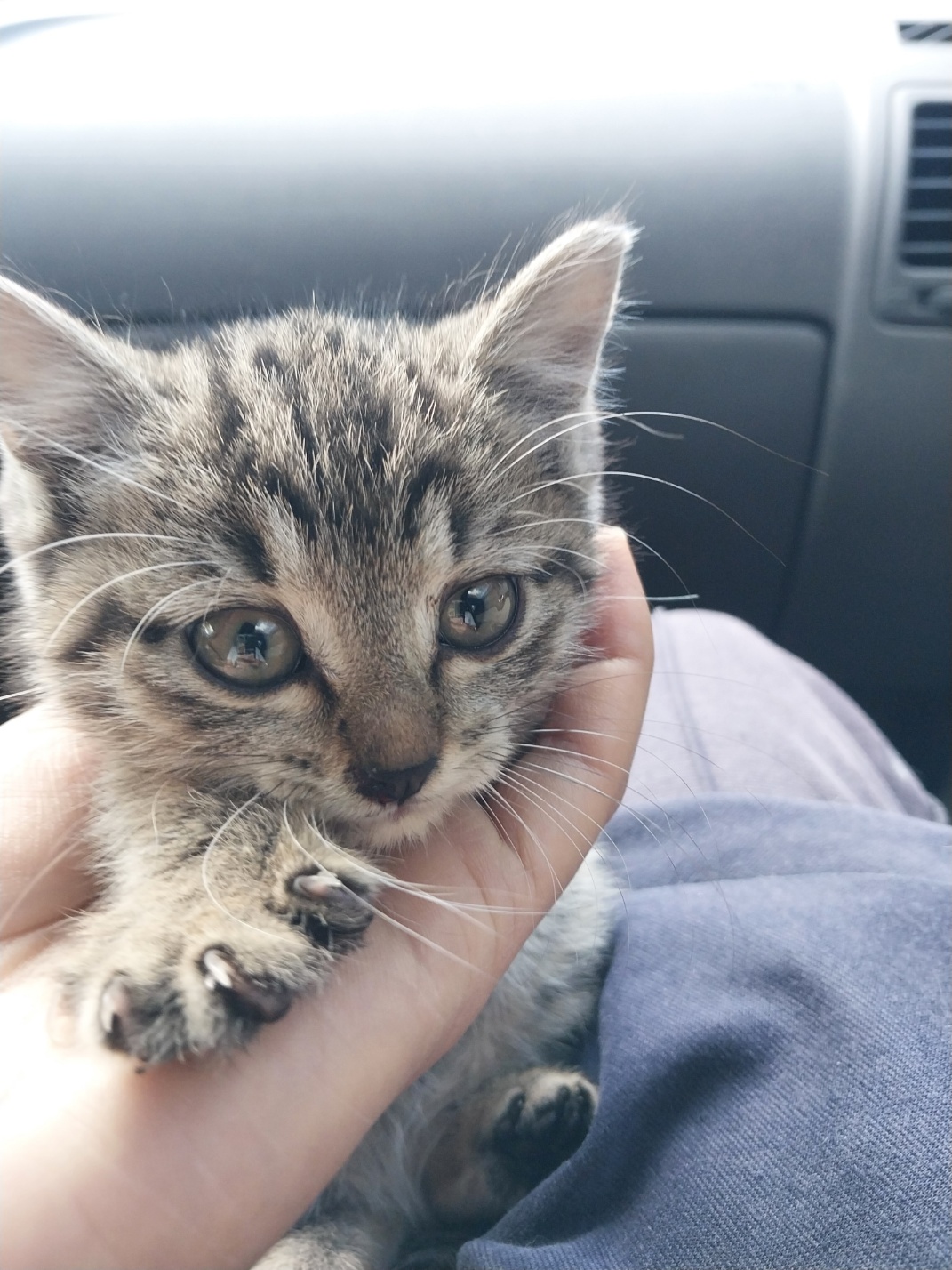 거제시동물보호센터_448537202501385