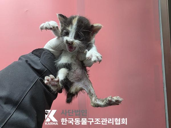 종료(자연사) 한국…