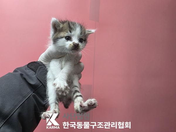 종료(자연사) 한국…