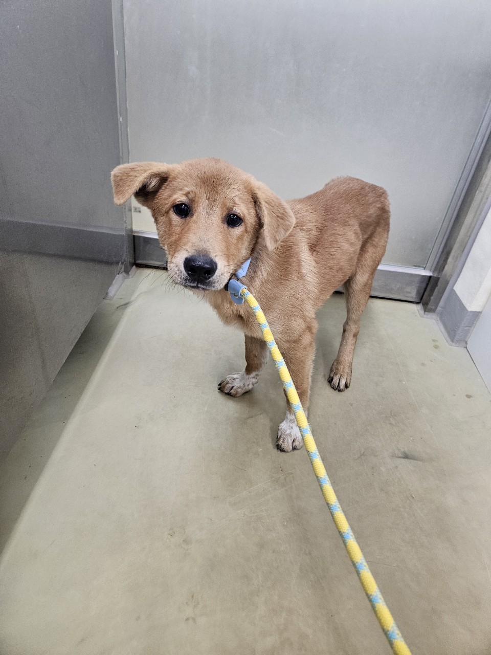 아산동물복지지원센터_444452202502098