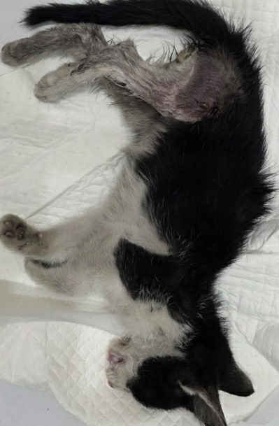 종료(자연사) 한국…