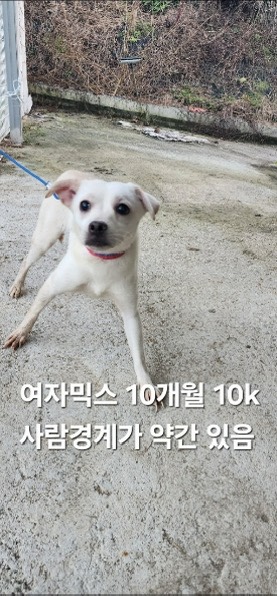 옥천동물병원_443443202500718