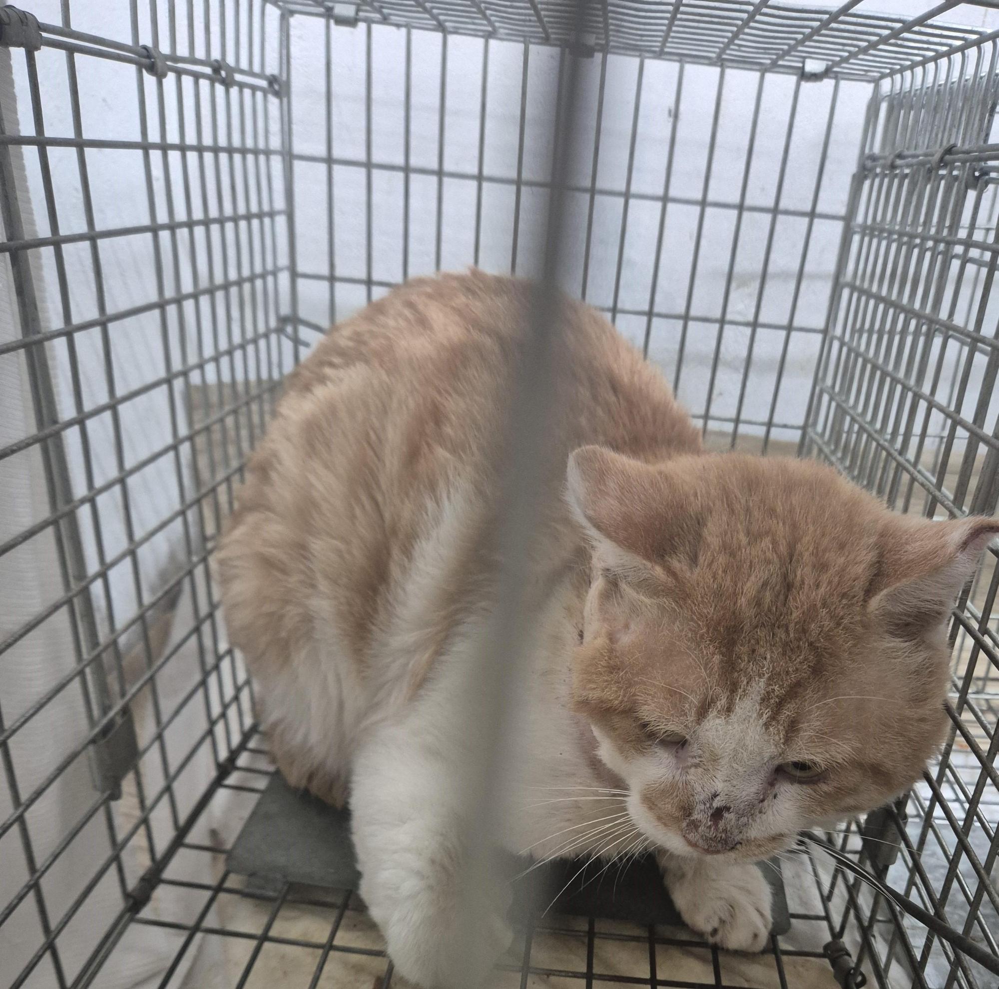 종료(방사) 한국 …