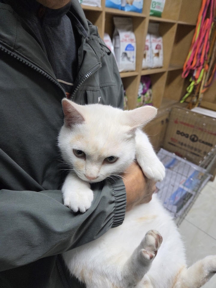 종료(반환) 한국 …