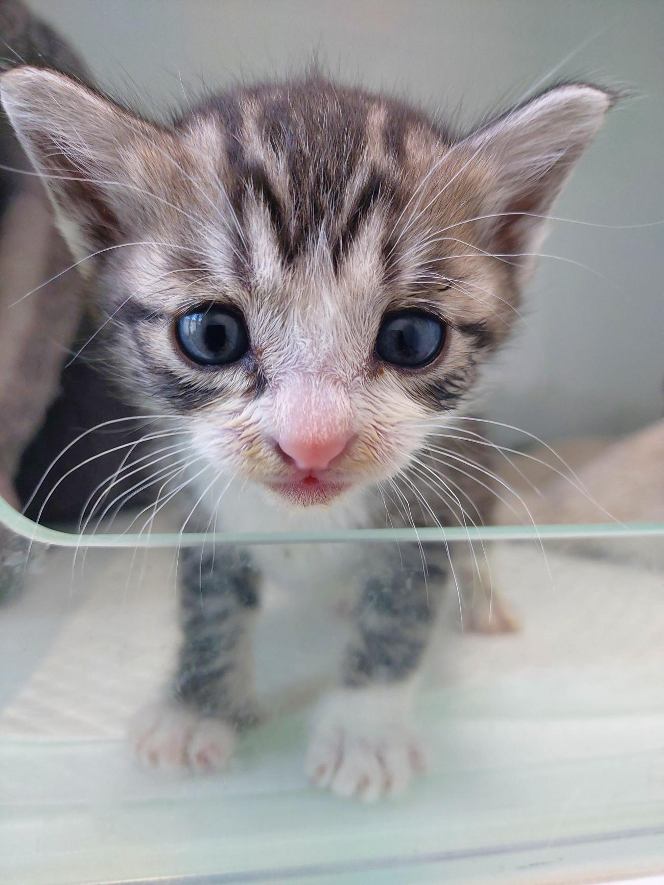 남해군동물보호센터_448543202500175