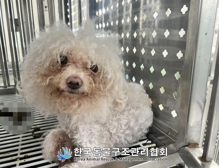 한국동물구조관리협회_411315202500562