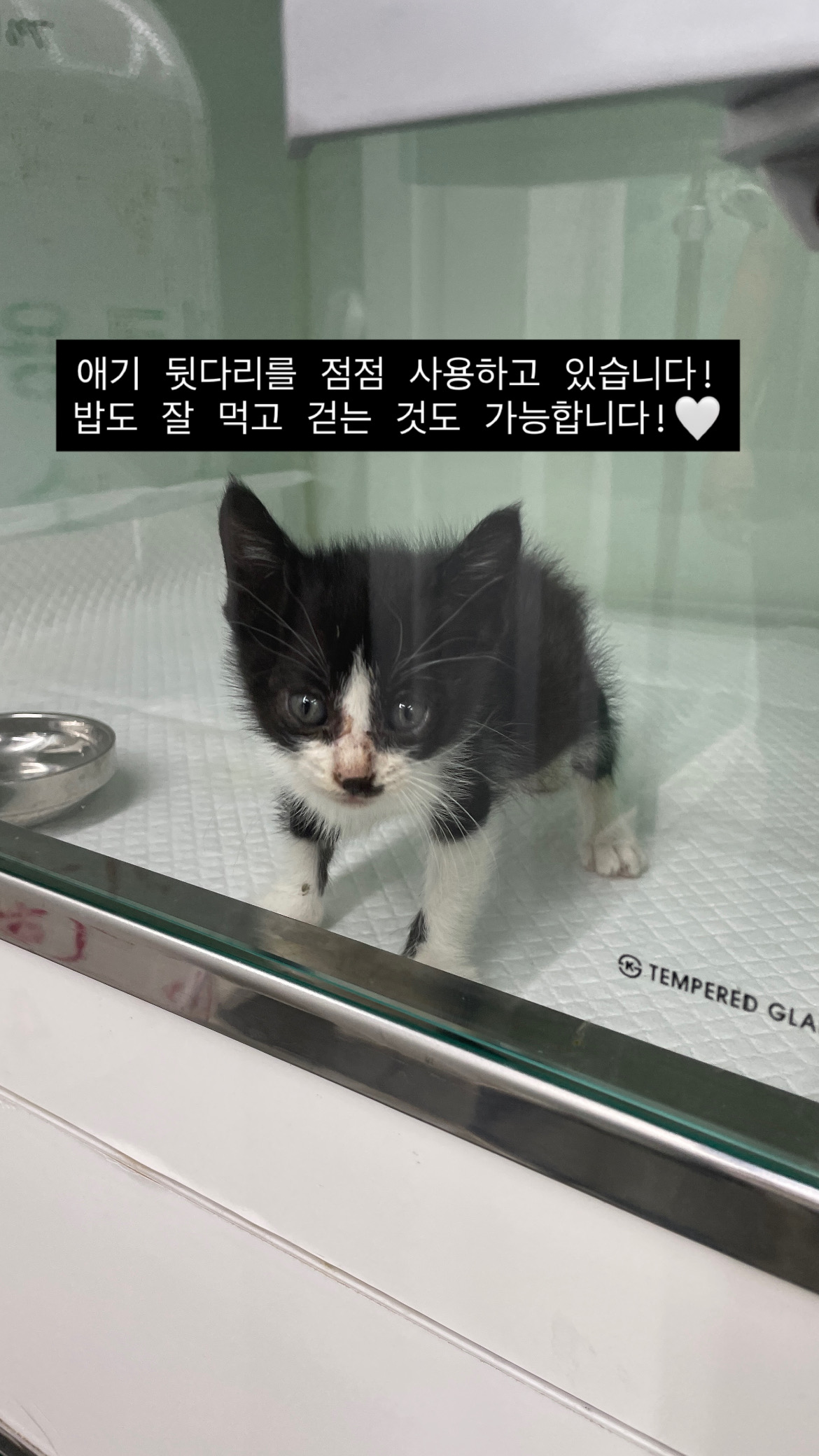 종료(자연사) 한국…