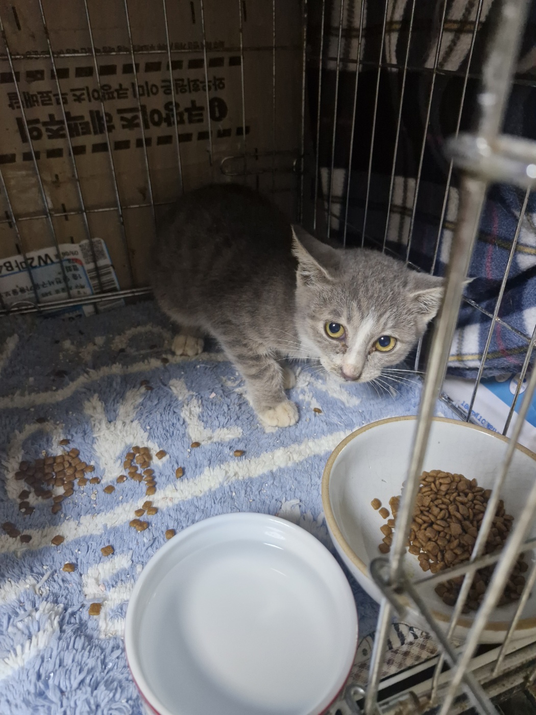 우리동물병원_428356202501514