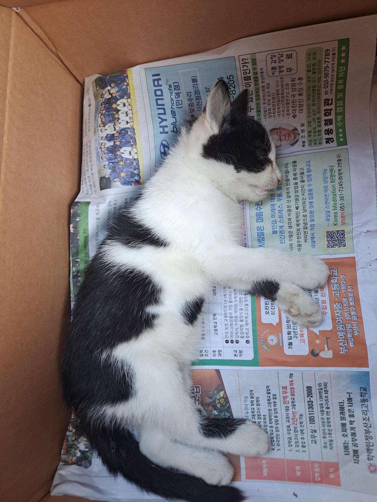 종료(자연사) 한국…