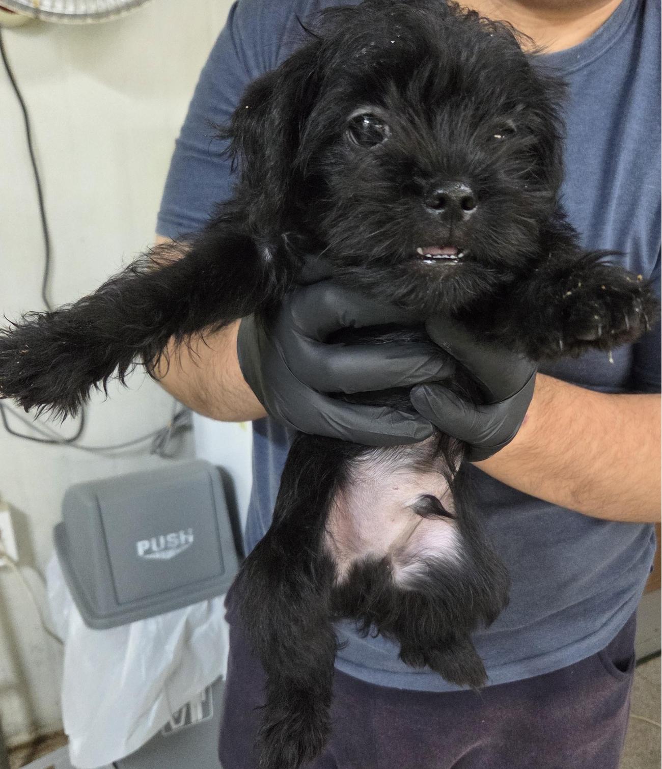 인천광역시수의사회_428353202500940