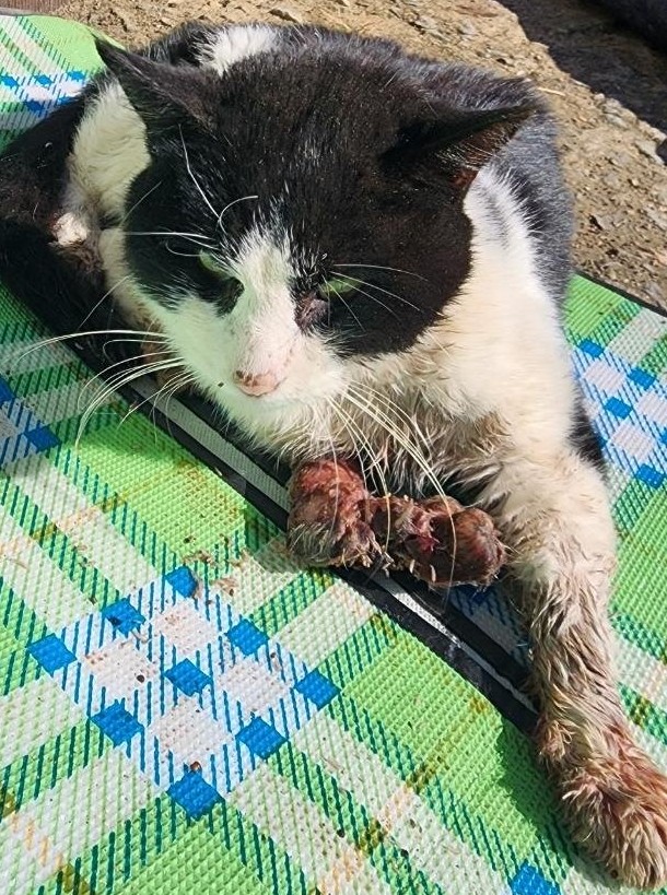 종료(자연사) 한국…