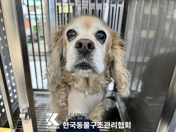 한국동물구조관리협회_411315202500563