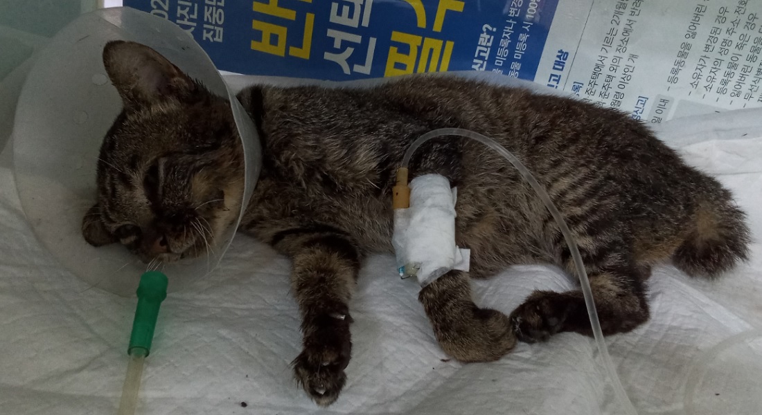 종료(방사) 한국 …