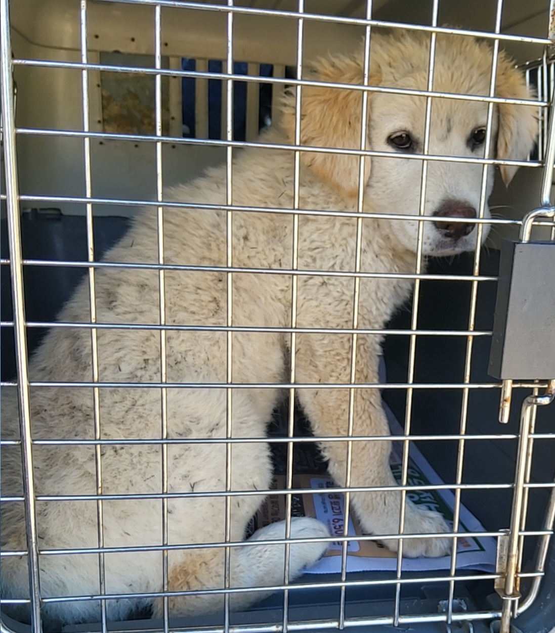 종료(자연사) 믹스…