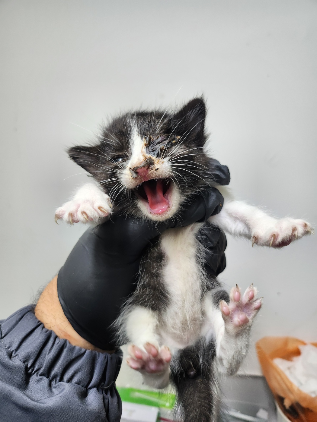 종료(기증) 한국 …