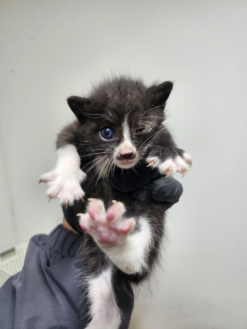 종료(기증) 한국 …