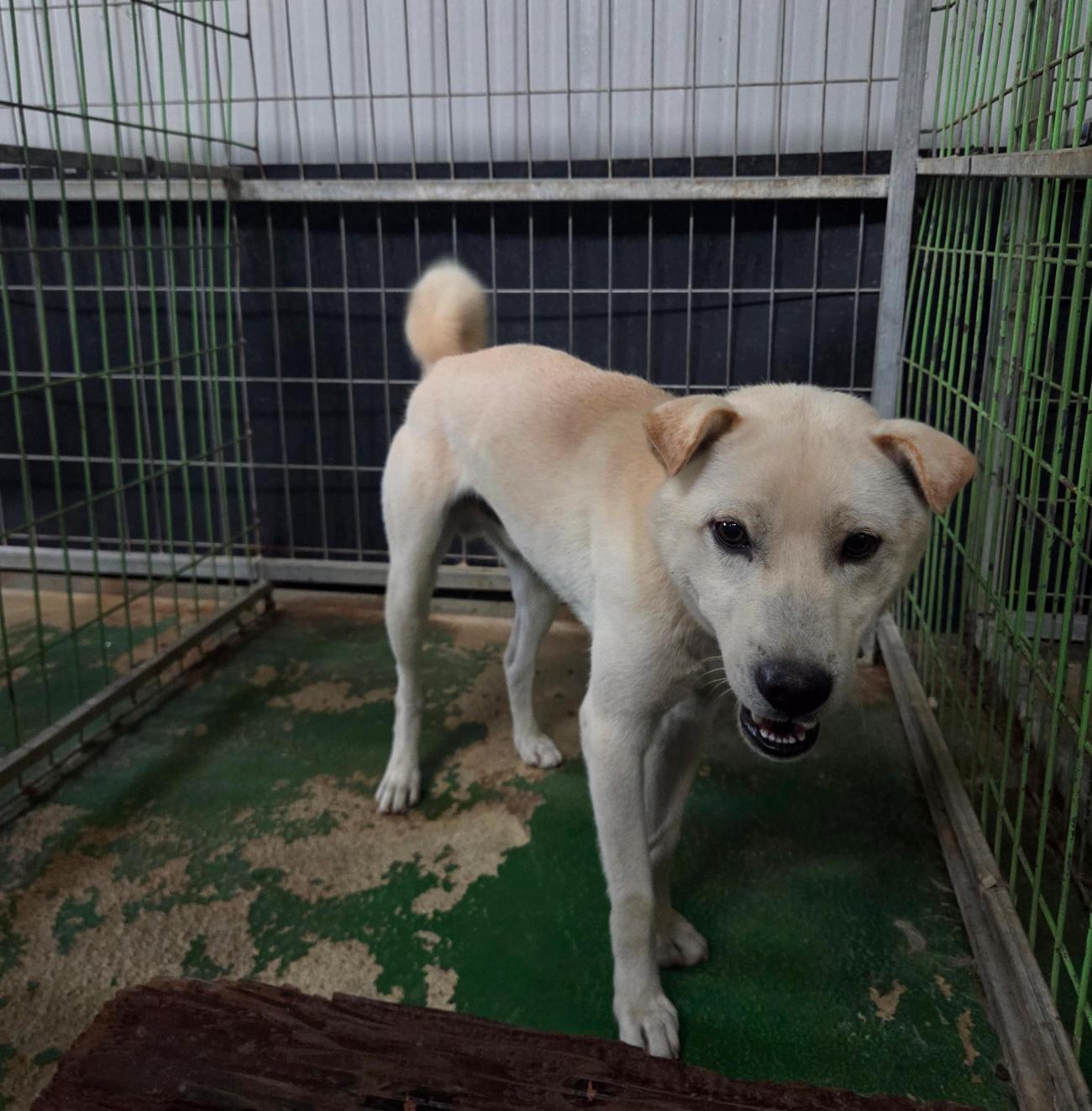 종료(자연사) 믹스…