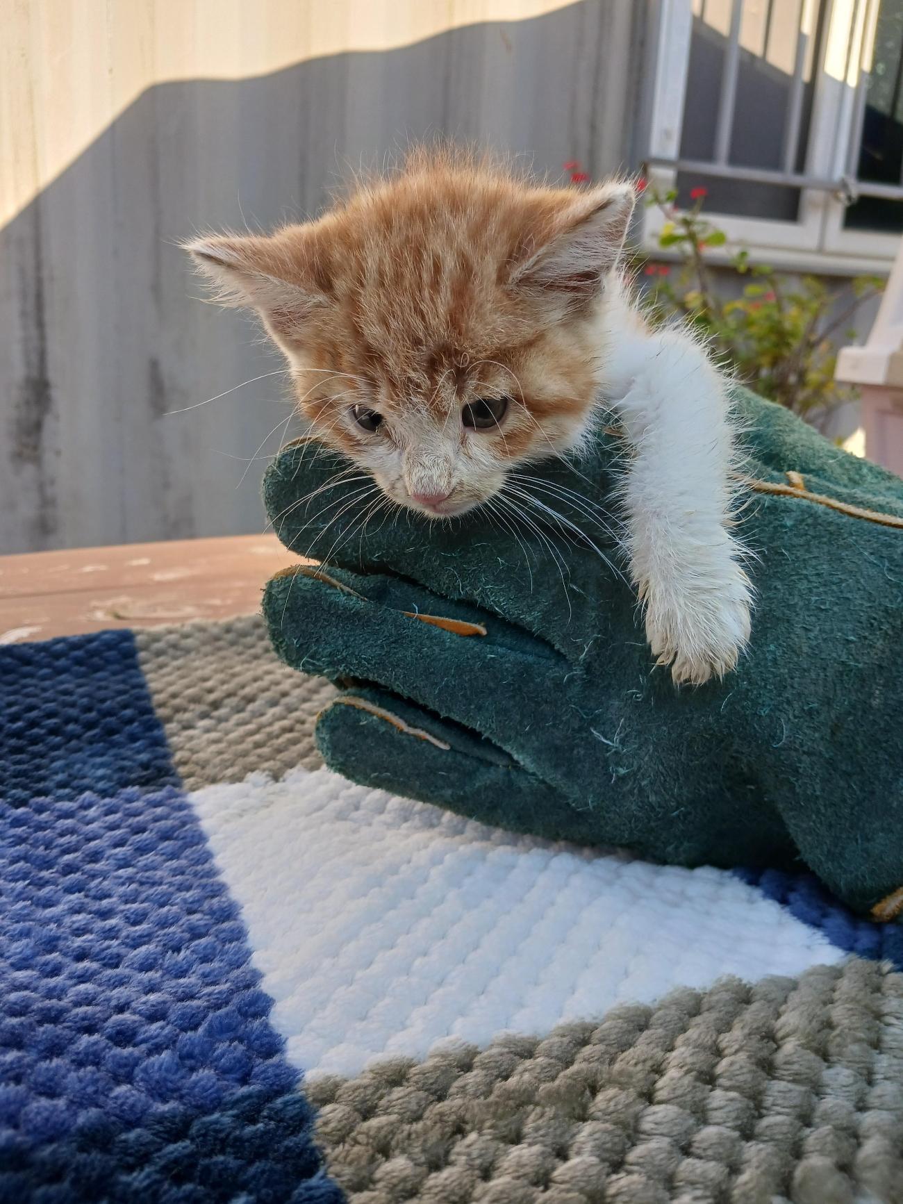 종료(자연사) 한국…