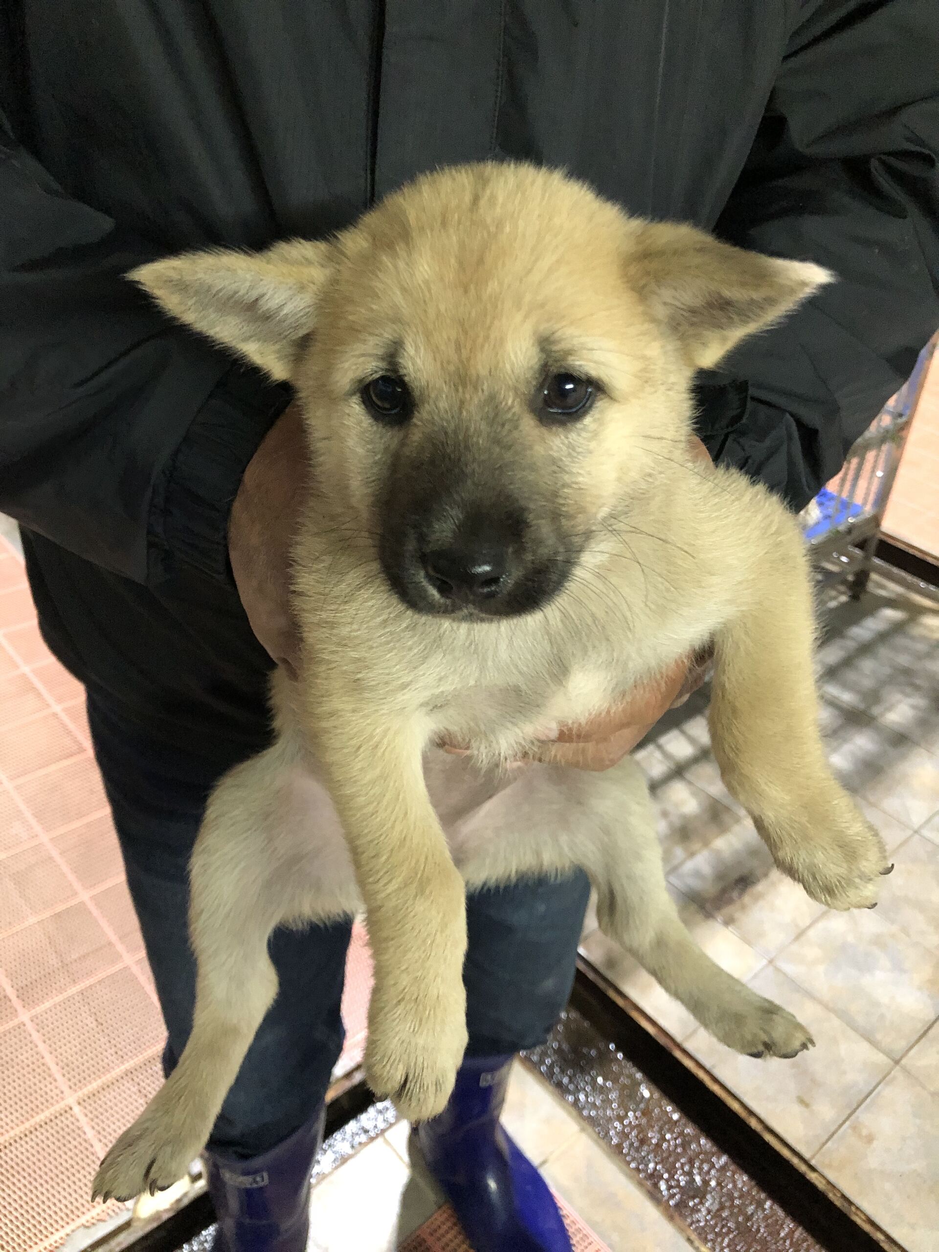 디디동물병원_428357202501444