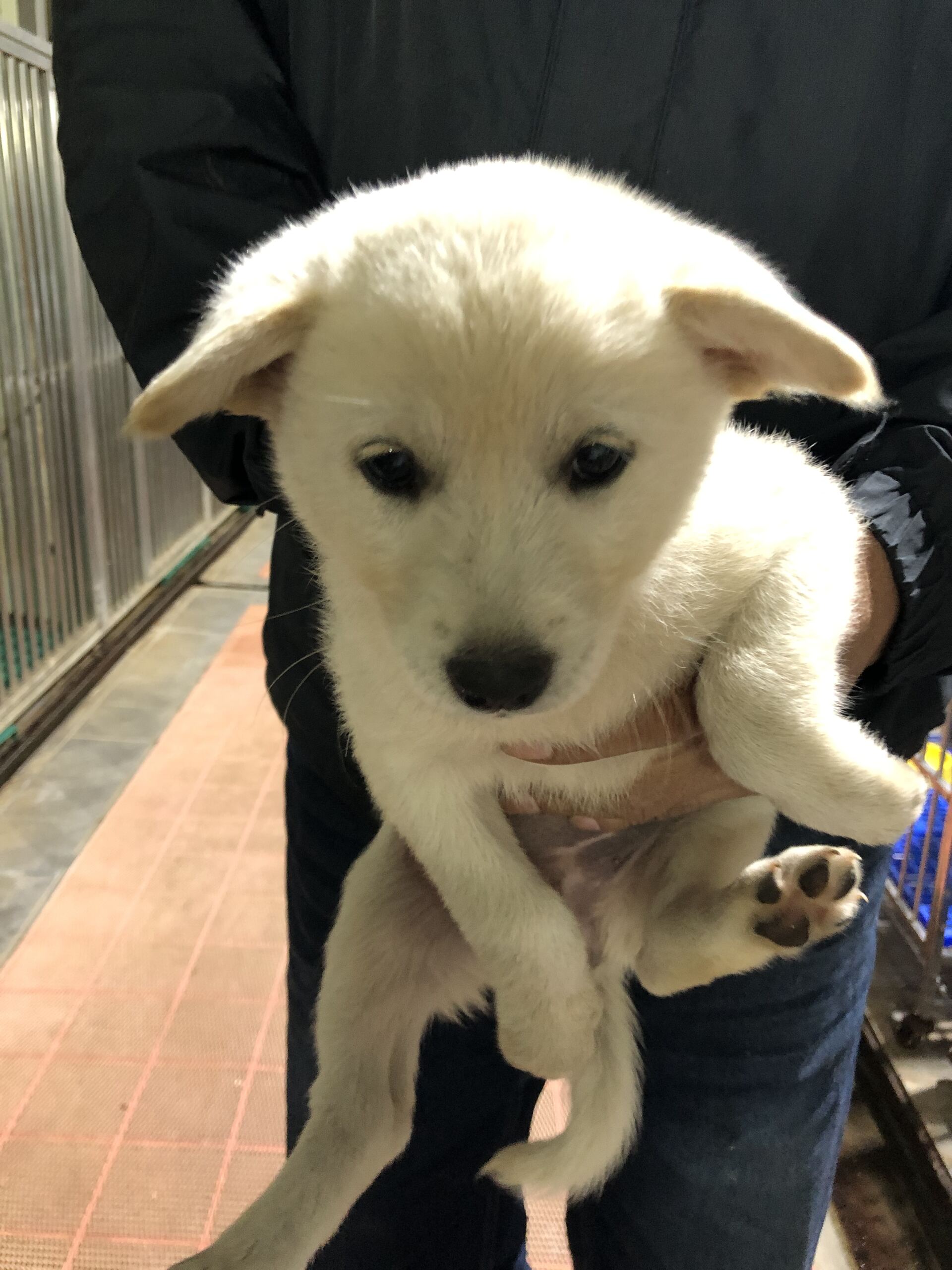 종료(자연사) 믹스…