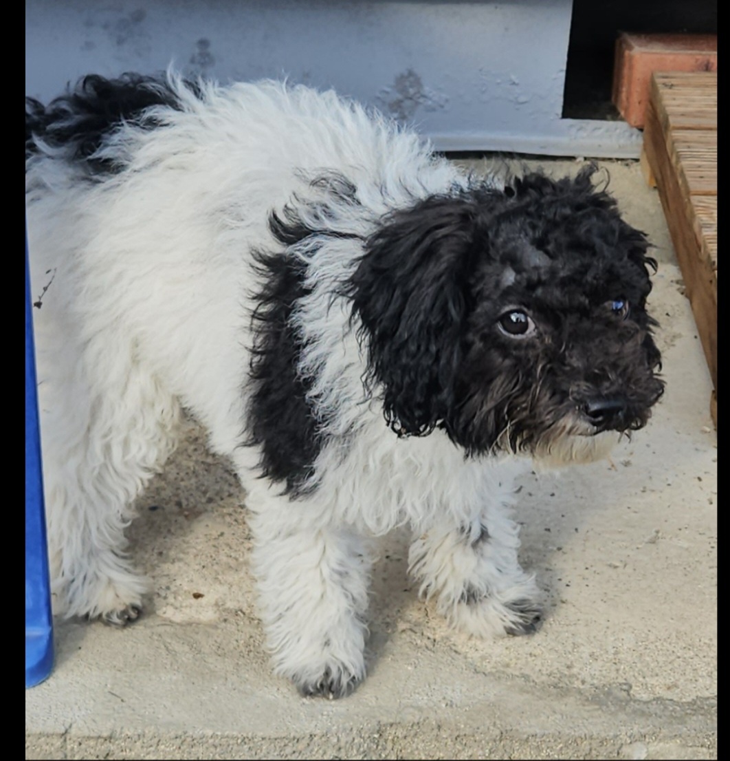 종료(반환) 기타의…