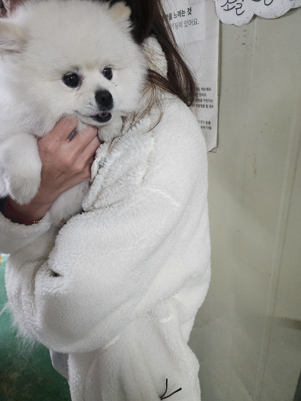 인천광역시수의사회_428353202500947