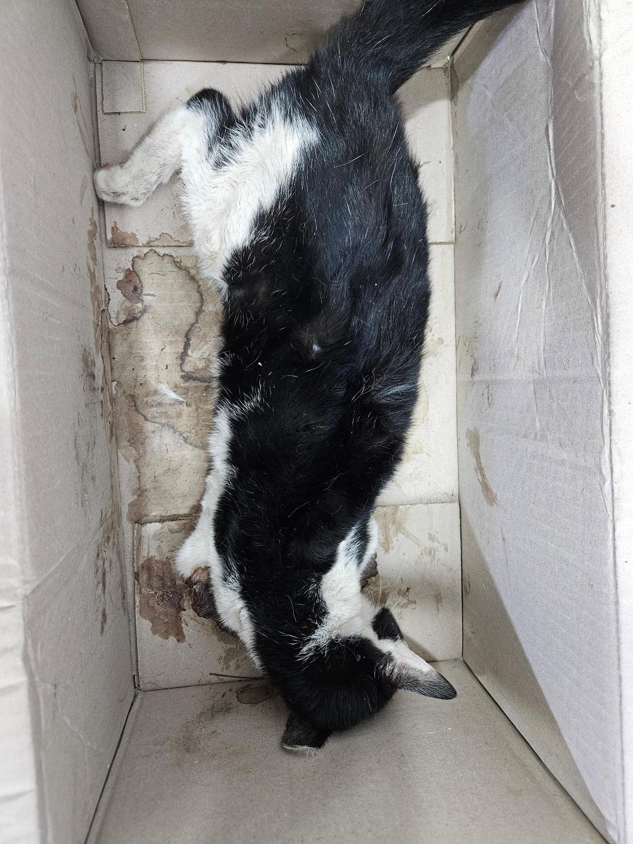 종료(자연사) 한국…