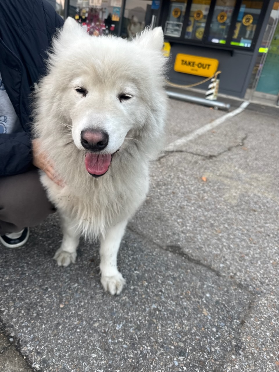 종료(기증) 사모예…